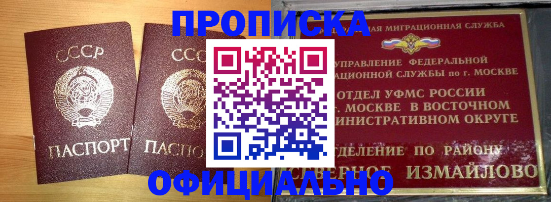 купить прописку в Палласовке